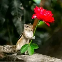 original sound - _statas_queen_