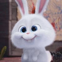 bunnytarot