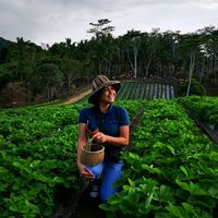 original sound - Roxanne