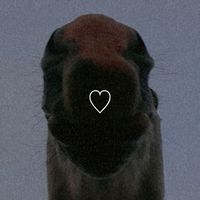 _.horse._.edit._1