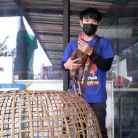 user5510102498674