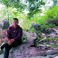 suara asli - siswantoputra661