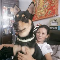 原聲 - 💞 阿蕊💞