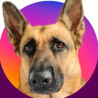 gsdxena