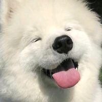 เสียงต้นฉบับ - คุณแซม.