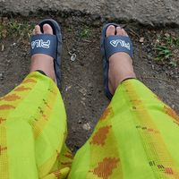 bugisy_64