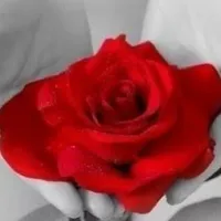 original sound - yoonnie9193