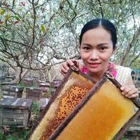 âm thanh gốc - Tây Nguyên Xanh785