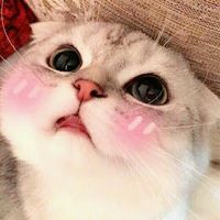 baabaenaaa