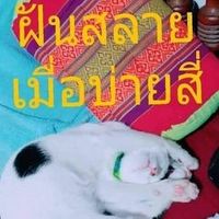 userb2xvt3livv
