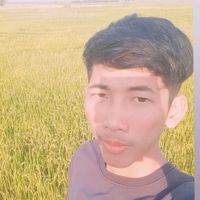 use088253613