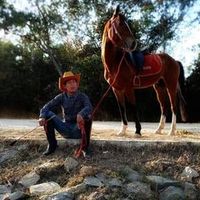 tayzaraung9065
