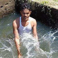 riswankingriswan