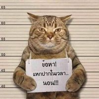 เสียงต้นฉบับ - สราวุธ