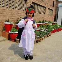 original sound - zahidiqbal43981