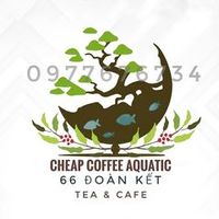 cheapcoffeeaquatichd