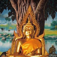 เสียงต้นฉบับ - สมใจ