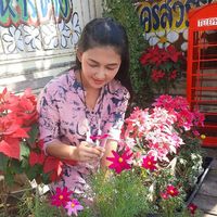 เสียงต้นฉบับ - lookkob (ช่องสํารอง)
