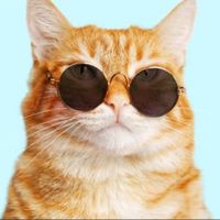 เสียงต้นฉบับ - titletutor29