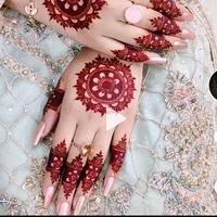 nehahussain178