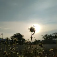 original sound - binhyen.denla