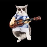 nhạc nền - Seo-Guitar