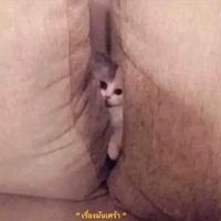 เสียงต้นฉบับ - 🔞