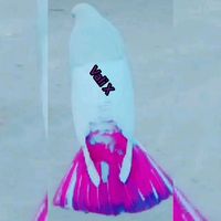 valixking3