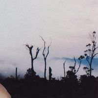 original sound - Plengme