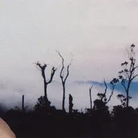 original sound - plengme