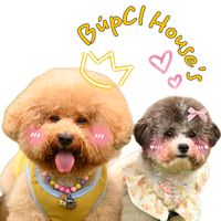 nhạc nền - 🐶BúpCl🐶