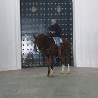 manuelpalomo1304