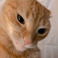 nhạc nền - hmm📸