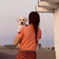 shantipun55