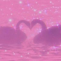 zodiacs_offical..3
