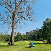 iamgolflover