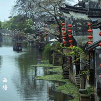 original sound - The world