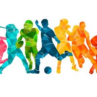 support_sports