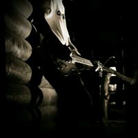 suara asli - _.ZilkM._