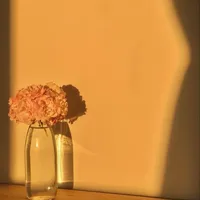 original sound - loveyou_aslovelife