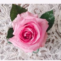 original sound - Lani's