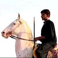 zainmujtabajhamat