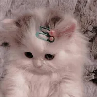 original sound - aallltt