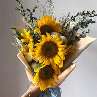 original sound - Cnayu