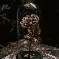 Ost. Extraordinary You