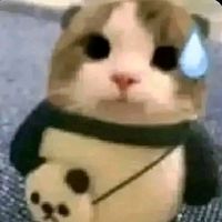 sungjinxx_