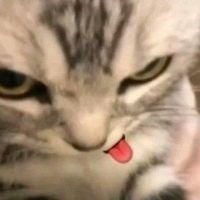 ssmtxl_