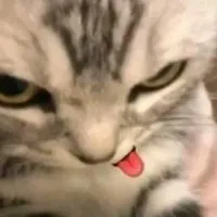 ฝืนตัวเองไม่เป็น