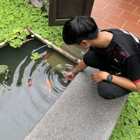nhạc nền - Nguyễn Văn Nghiệp