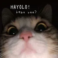 original sound - mrsvaughan7